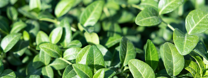 Similar image 21244964