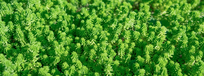 Similar image 21248708