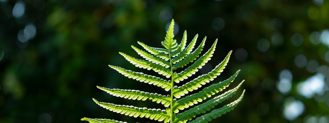 Similar image 21248874