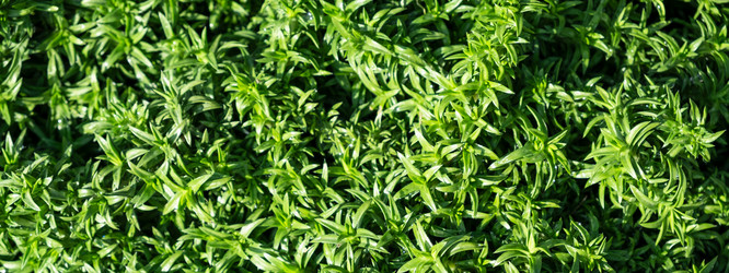 Similar image 21248875