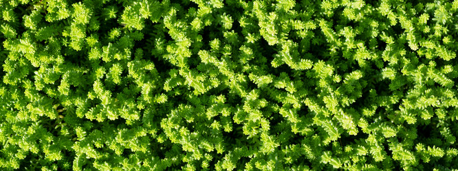 Similar image 21248876