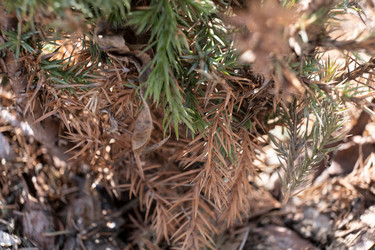 Similar image 21248878