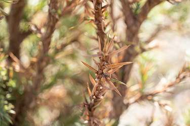 Similar image 21248879