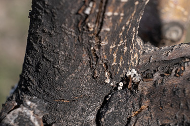 Similar image 21248880