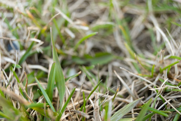 Similar image 21248886