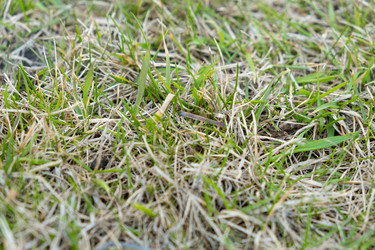 Similar image 21248887