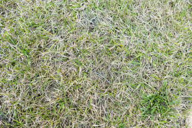 Similar image 21249081