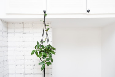 Similar image 21249083