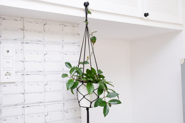 Similar image 21249085