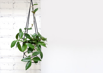 Similar image 21249087