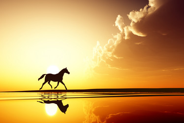 Similar image 21243680