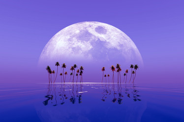 Similar image 21256191