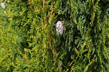 Similar image 21232645