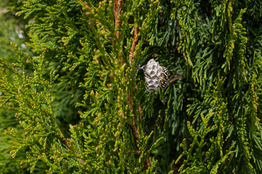 Similar image 21232647