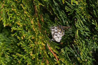 Similar image 21232651