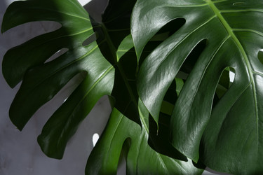 Similar image 21232655