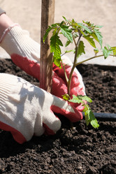 Similar image 21244968