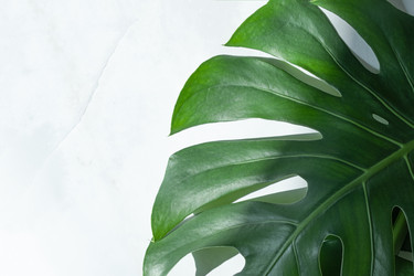 Similar image 21244969