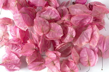 Similar image 21244971