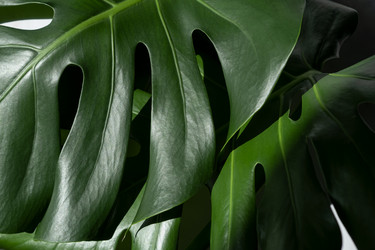 Similar image 21244975