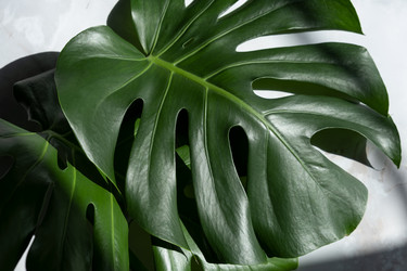 Similar image 21244981