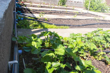 Similar image 21244982