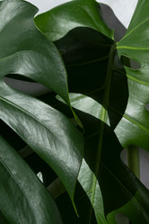 Similar image 21244983