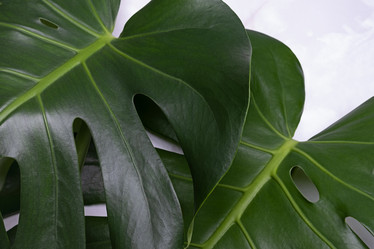 Similar image 21248715