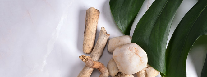 Similar image 21248889