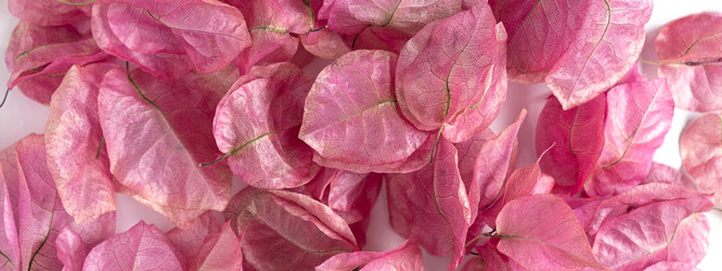 Similar image 21248890