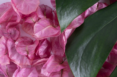 Similar image 21248892