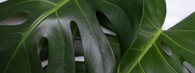 Similar image 21248893