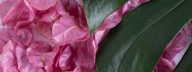 Similar image 21248894