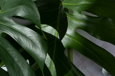 Similar image 21248895