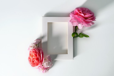 Similar image 21248904