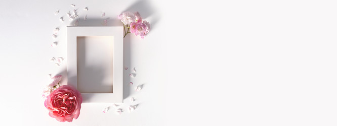 Similar image 21249102