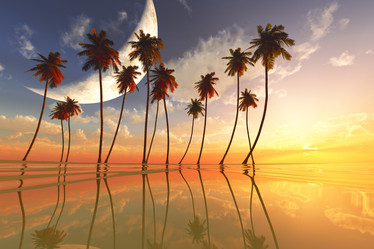 Similar image 21211847