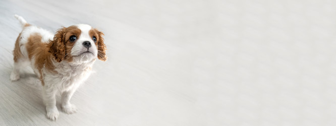 Similar image 21206852