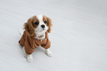 Similar image 21206856