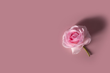 Similar image 21206860