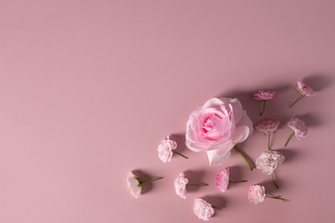 Similar image 21206863