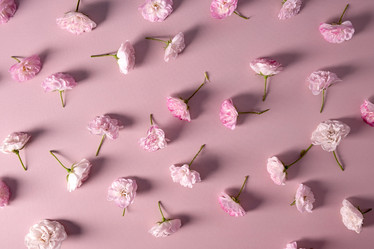 Similar image 21206865