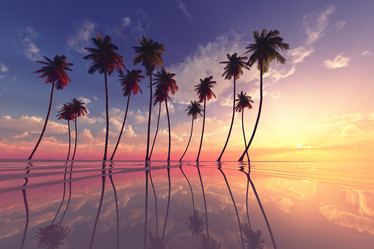 Similar image 21245662