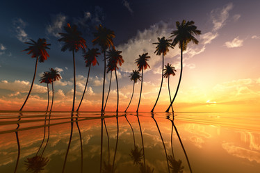 Similar image 21245789