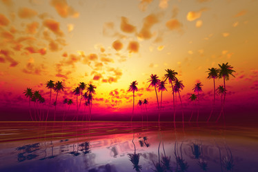 Similar image 21247508