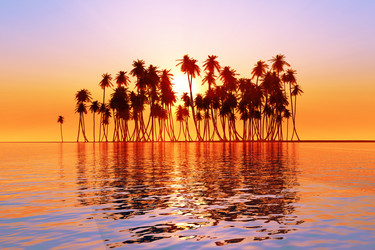 Similar image 21247511