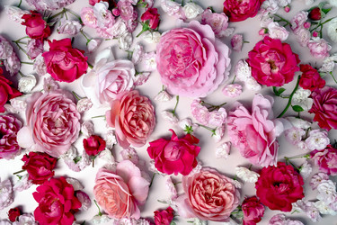 Similar image 21244984