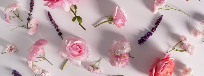 Similar image 21244986