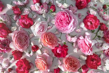 Similar image 21244988