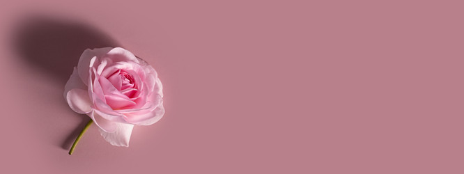 Similar image 21248725